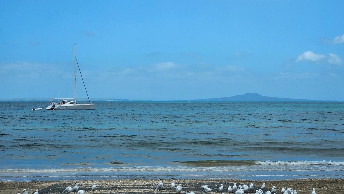 奥克兰Private Retreat In Birkenhead公寓 外观 照片